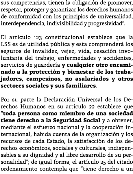 sus competencias, tienen la obligaci n de promover, respetar, proteger y garantizar los derechos humanos de conformid   