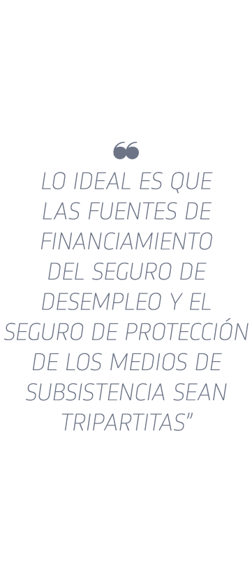   Lo ideal es que las fuentes de financiamiento del Seguro de Desempleo y el Seguro de Protecci n de los Medios de Su   